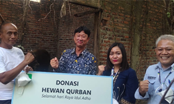 Donasi Hewan Qurban